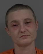Mugshot of Sondra Lynn Rothstein