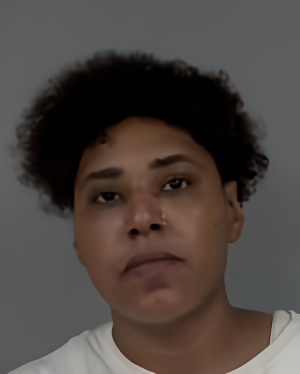 Mugshot of Denver Sherell Washington