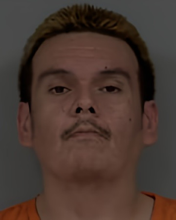 Mugshot of Corinna Marie Tomson