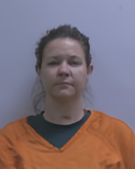 Mugshot of Nikki Rae Heitland