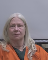 Mugshot of Rhonda Lynn Porro