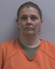 Mugshot of Misti Lynn Hill