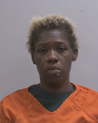 Mugshot of Lelonda Helena Elmore