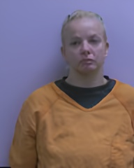 Mugshot of Brianna Joy Mitchell