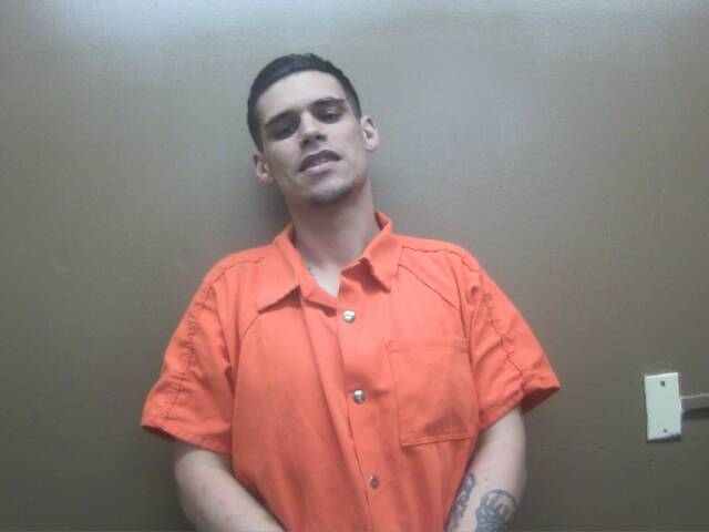 Mugshot of DEVIN R WHEELER