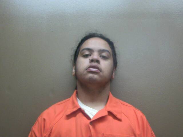 Mugshot of SHEDRICK JR WALLACE