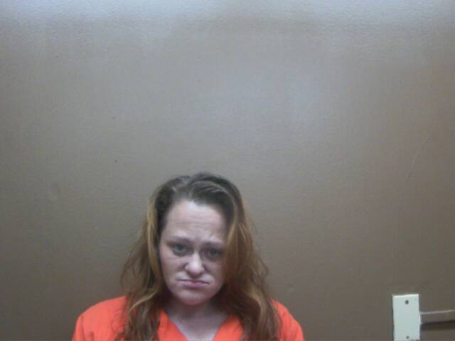 Mugshot of CHRISTINA POSEY