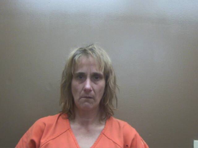Mugshot of MICKI D FREEMAN