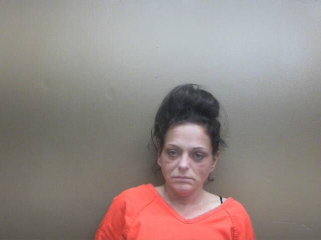 Mugshot of SONYA I ROBERTSON