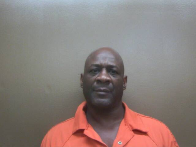 Mugshot of MICHAEL L JOHNSON