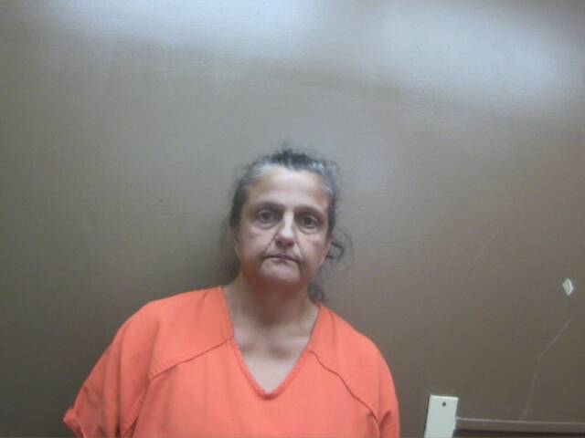 Mugshot of LORRI N HALL