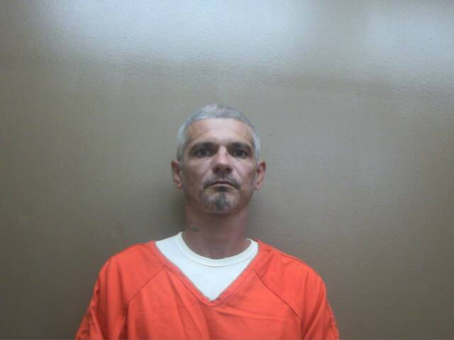 Mugshot of JOHNNY F SEALS