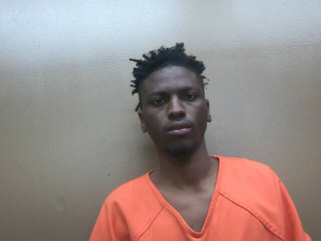 Mugshot of ROOSEVELT JR JOHNSON