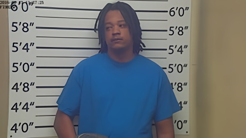 Mugshot of RICO WHITE