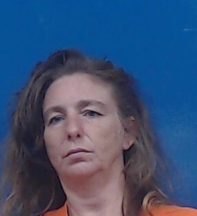 Mugshot of MELISSA HUNTER