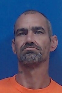 Mugshot of DAVID TANNER