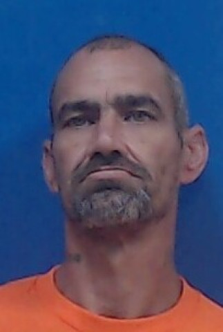 Mugshot of DAVID TANNER
