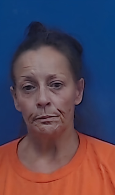 Mugshot of Talaina Nickerson