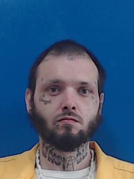 Mugshot of Jodi Sampey