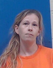 Mugshot of Krystil Ferguson
