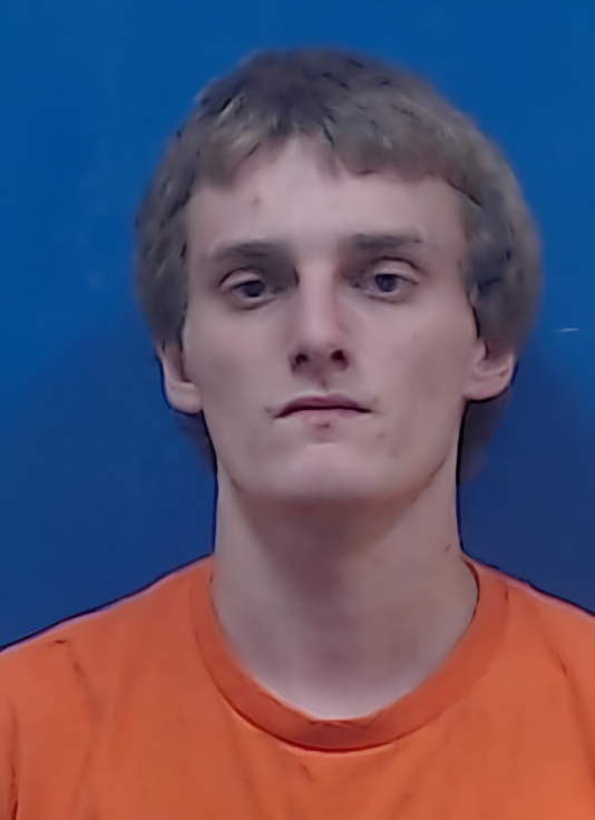 Mugshot of GAVIN DAVIS