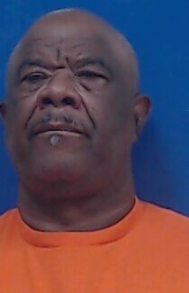Mugshot of BYRON WELLS