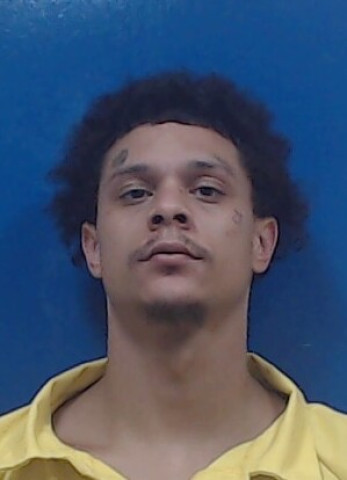 Mugshot of Darius BROWN