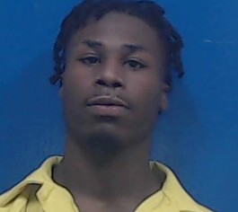 Mugshot of Michael Turner