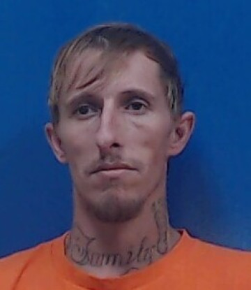 Mugshot of LESLIE MCKISSICK
