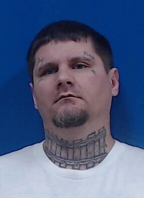 Mugshot of WILLIAM PALMER