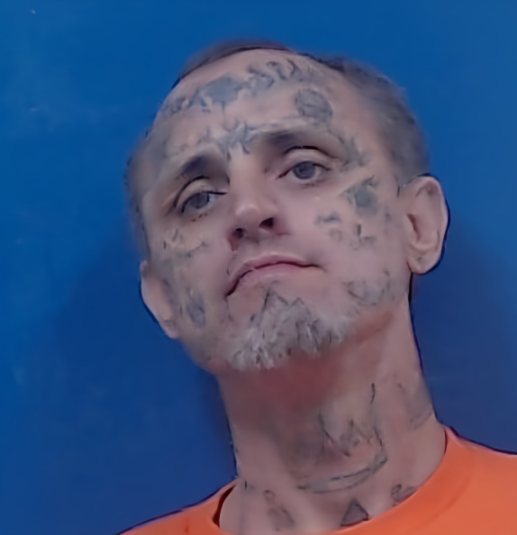 Mugshot of VOIN MCDANIEL