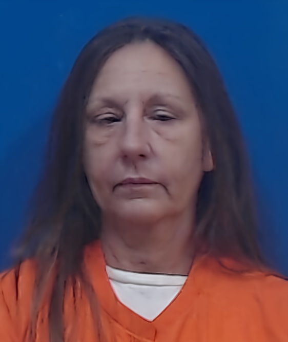 Mugshot of Michelle Havard