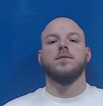 Mugshot of Austin Ladner