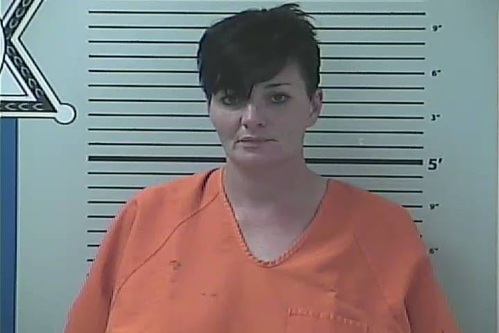 Mugshot of LISA ASHLEY VINSON