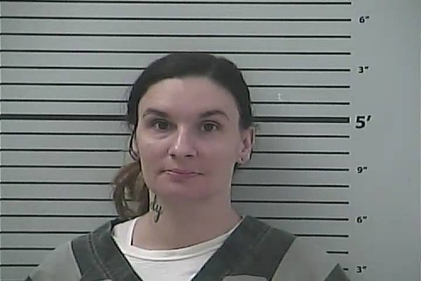 Mugshot of LACEY LYN HORN