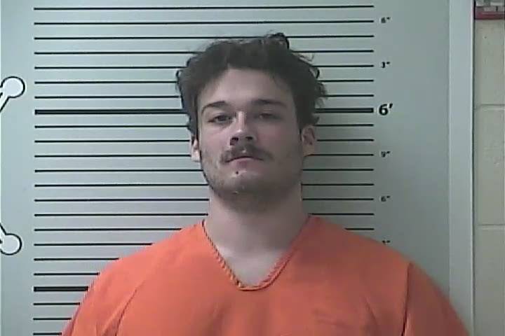 Mugshot of DYLAN WAYNE PETERSON