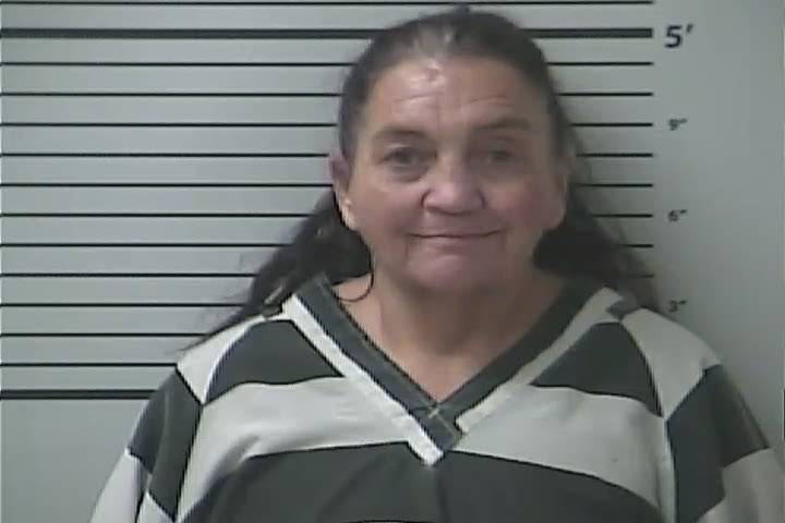 Mugshot of CHERYL MARGARET DAVIDSON
