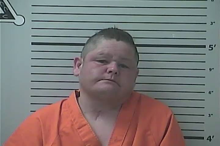 Mugshot of AMANDA THERESA NECAISE