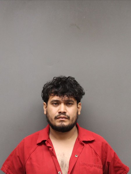Mugshot of LUIS GERARDO