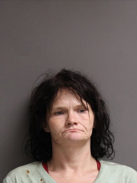 Mugshot of GAIL ANN BROWN