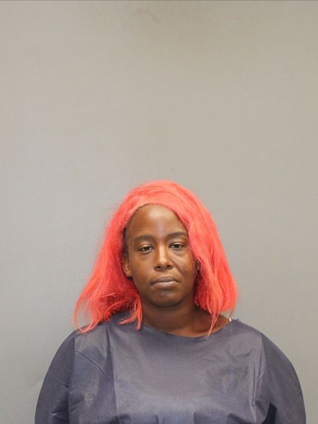 Mugshot of PHOENIX BROOKS