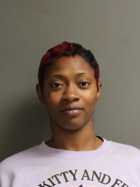 Mugshot of DEANNE ZHANE BRIDGES