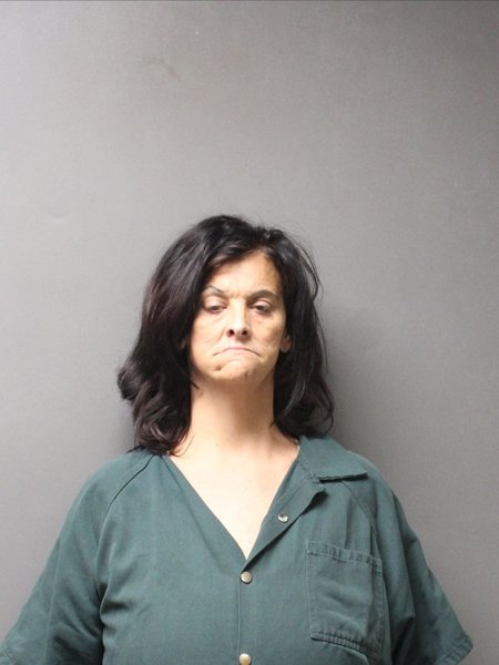 Mugshot of WENDY CAROL PALMER