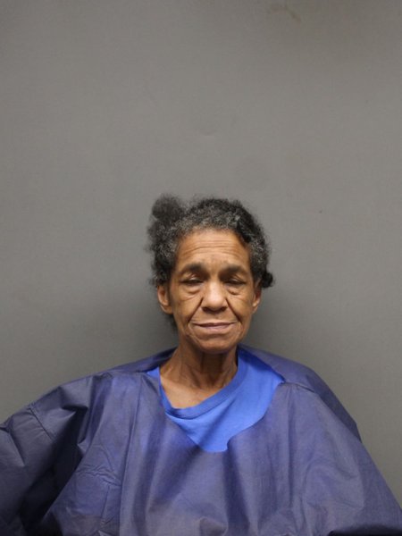 Mugshot of SHEILA ELAINE JOHNSON