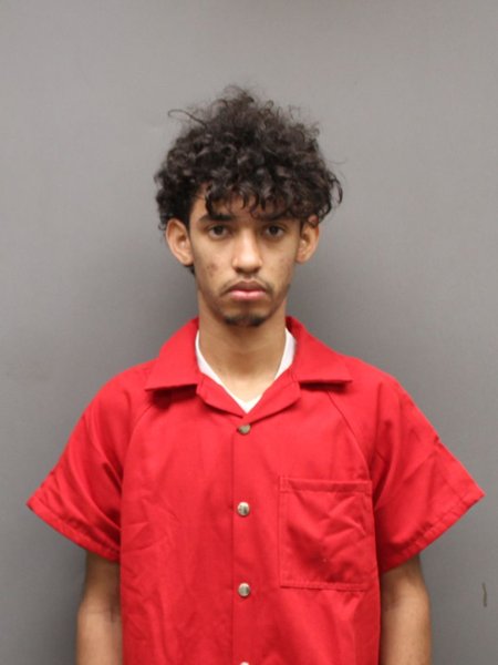 Mugshot of DANNIS XAVIER CRUZ-PALMA