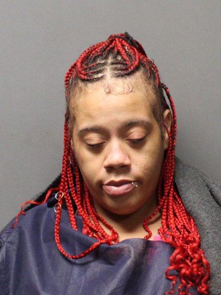 Mugshot of JANITA JANAE ELLIS