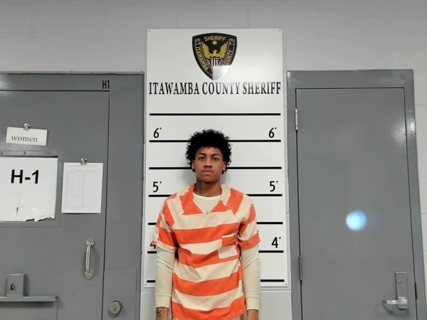 Mugshot of CAMYRN HODGES