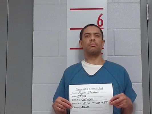 Mugshot of BYRON STEWART