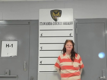 Mugshot of ERICA MILLER