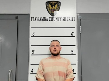 Mugshot of JAMES THORNTON